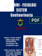 1.anatomi & Fisiologi Sistem Urogenitalia