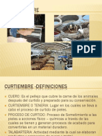 Proceso de Curtiembres