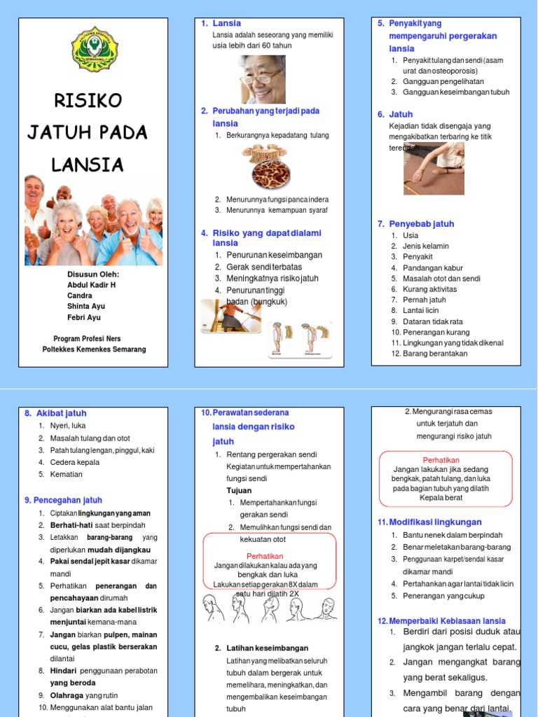 Leaflet Lansia  Dan Jatuh  PDF