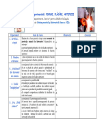 Fisa Experimentala Focuri Flacari Artificii