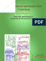 Protein Turnover and Amino Acid Catabolism: Chem 454: Biochemistry II University of Wisconsin-Eau Claire