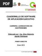 unidad 1 sotware de aplicacion ejecutivo.pdf