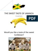 The Sweet Taste of Jamaica: Plantain