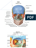 Slides - Atlas of the Human Anatomy, Netter.pdf