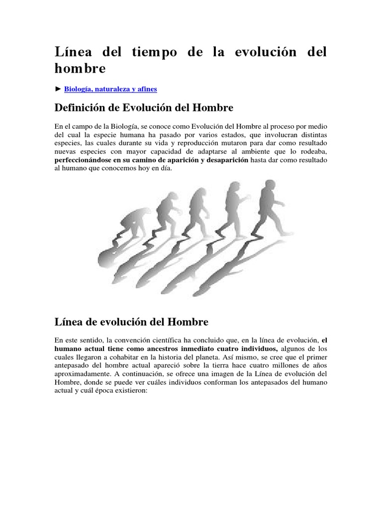 Línea Del Tiempo de La Evolución Del Hombre | PDF | Homo | Evolución humana