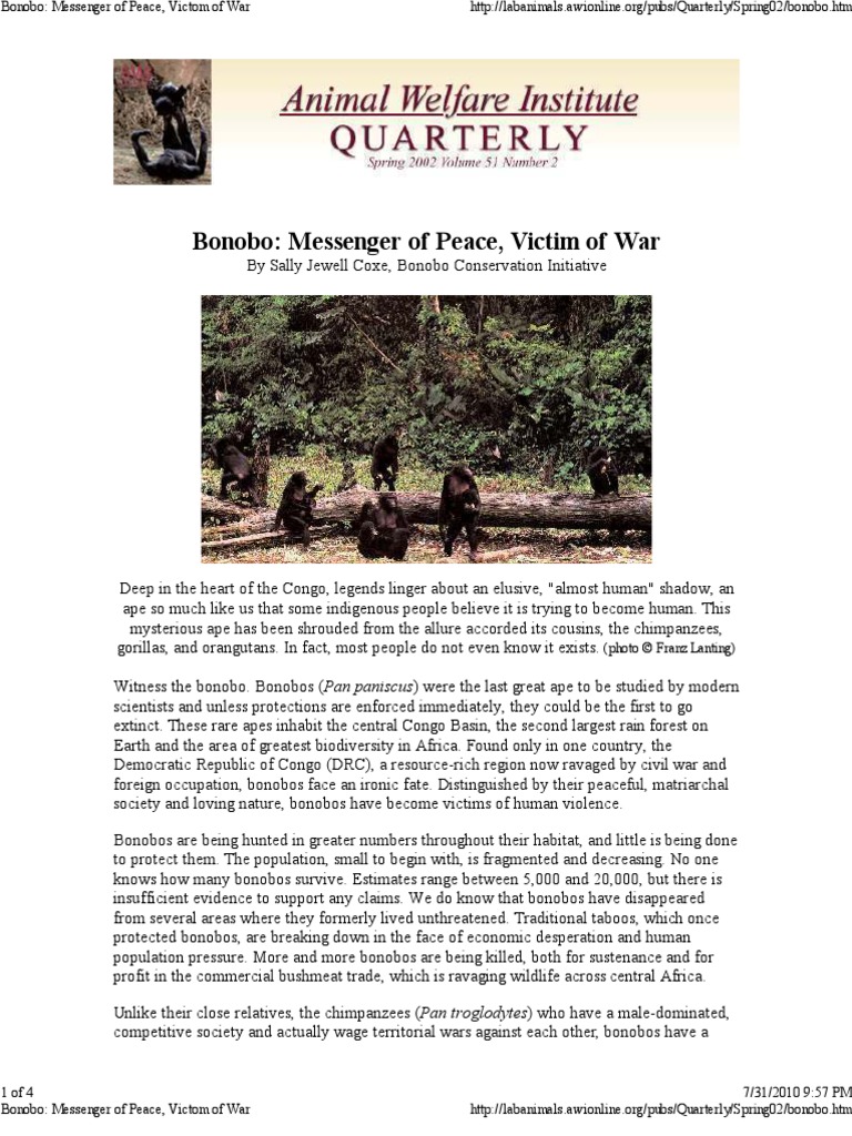 Bonobo: Messenger of Peace, Victim of War | PDF | Chimpanzee | Nature