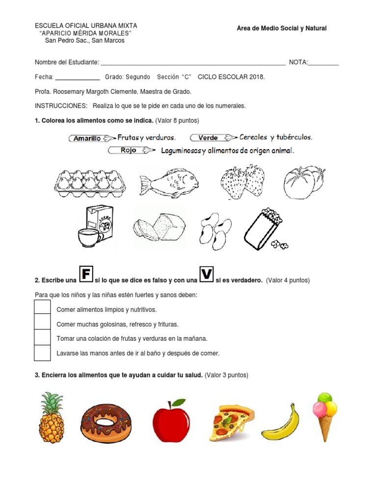 Examen de Medio Social y Natural 2° grado | PDF