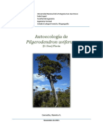 Autoecología de Pilgerodendron Uviferum (D. Don) Florin