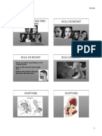 Bichectomia Anatomia1 PDF