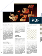 La Pasic3b3n Del Ajedrez Curso Nivel Avanzado1 PDF