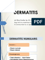 Kp 3.4.4.1 - Dermatitis 1 (Nurmularis, Neurodermatitis, Napkin Eczema)