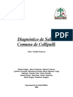 Diagnóstico Salud Collipulli 2008