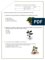 Prueba Diagnostica Ciencias 3º Básico Final