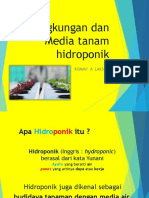 HIDROPONIK2