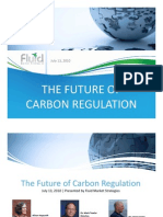 Carbon Regulation 071310