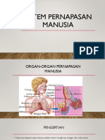 Sistem Pernapasan Manusia