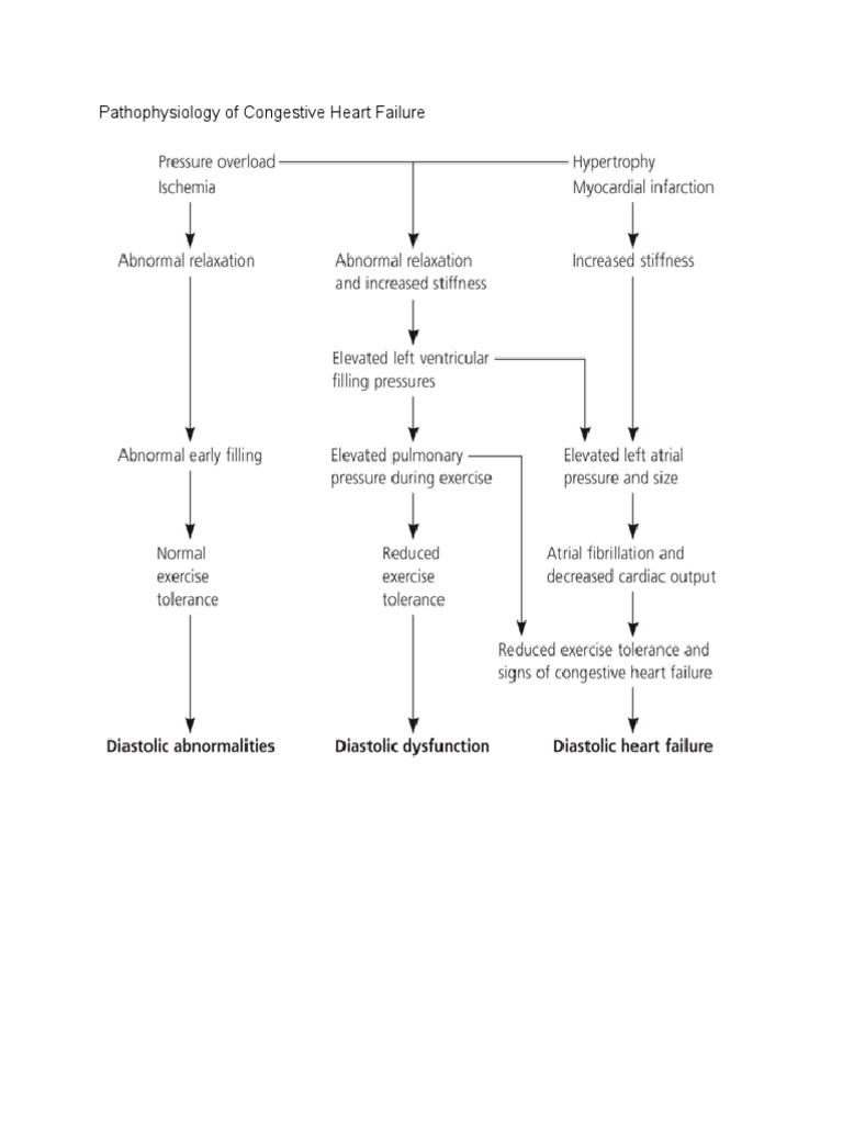 Pathophysiology of Congestive Heart Failure | PDF