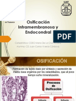 Osificación Intramembranosa, Endocondral y Sutural