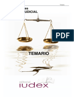 Auxilio Judicial Temario.pdf