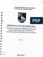 Directiva Caja Chica-oga