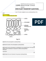 (20048) Igcse Past Paper Plant Transport Questions