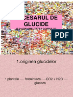 Curs - Glucide