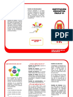 5S Folleto 2013 PDF