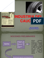 PRESENTACIÓN DEL CAUCHO..pptx