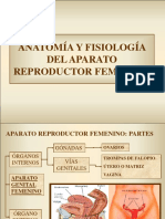 Anatomía y Fisiología Del Aparato Reproductor Femenino