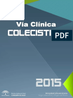 Via_Clinica_CA_2_Junio_2016.pdf