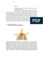 Circulación en Los Vertebrados 8°