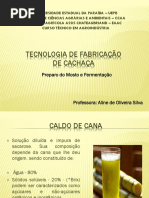 Tecnologia de Fabricação Cachaça 2