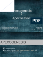 apexogenesisapexification-130802062951-phpapp02