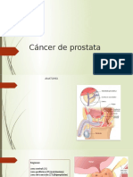 Cancer de Prostata Presentacion
