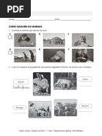 Santillana EM1 Ficha Formativa 23