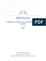 Metabolismo#1: Respiración en Germinado de Frijol