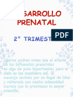 Desarrollo prenatal 2° trimestre