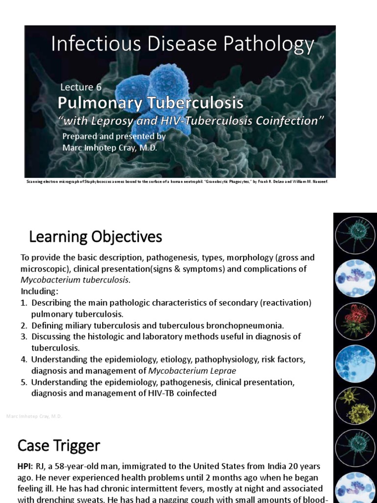 Pulmonary Tuberculosis: Pathology & Management | PDF | Tuberculosis ...