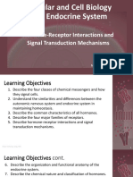 Molecular and Cell Biology of the Endocrine System