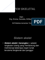 Sistem Skeletal