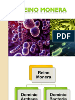 Reino Monera: Dominios Archaea y Bacteria