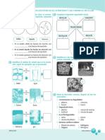 Ficha de Trabajo Los Estados de La Materia y Las Formas de Reciclar