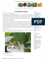 Cara Bertanam Hidroponik Sederhana di Rumah _ Tips Berkebun.pdf