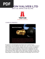 Triton Valves LTD