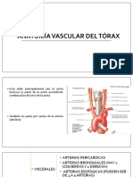 Anatomía Vascular Del Tórax Expo