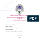 INFORME_7_CULTIVO_DE_MICROORGANISMOS.docx