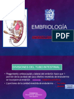 Embriologia A. Digestivo
