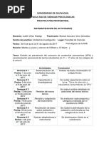 Sistematización de Actividades