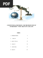 Environmental Law Article