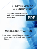 General Mechanism of Muscle Contraction
